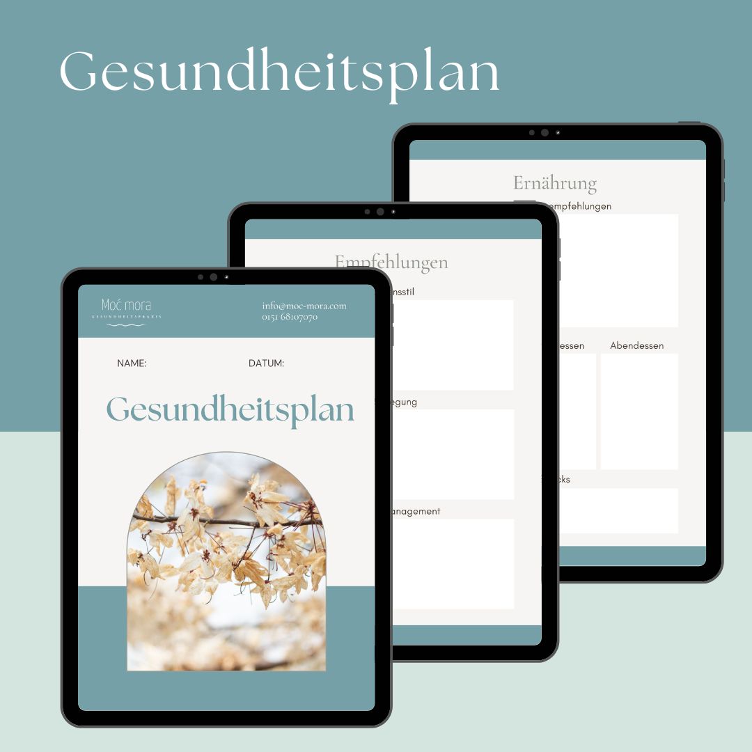 Gesundheitsplan.Cover
